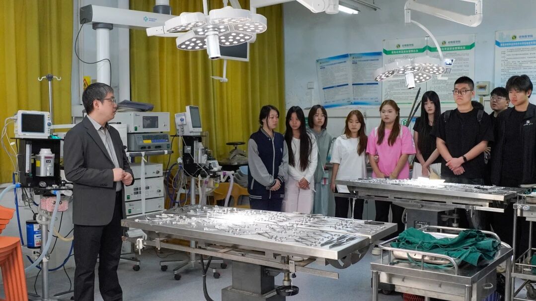 宠物医疗与护理